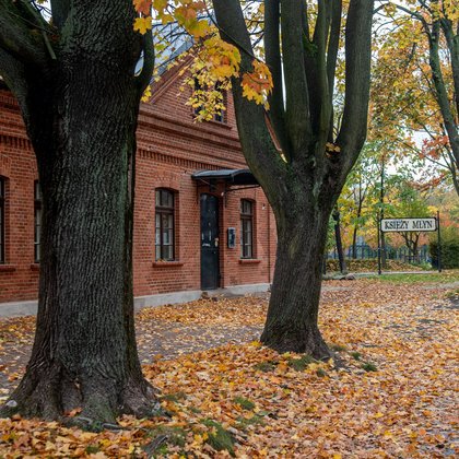 Koci Szlak, Księży Młyn, fot. ŁÓDŹ.PL