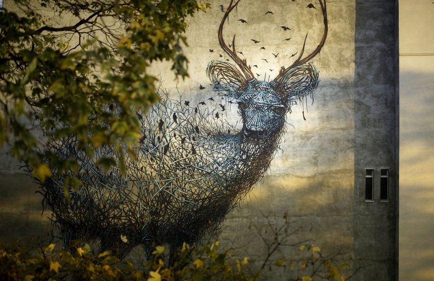 fot. Marek Szymański