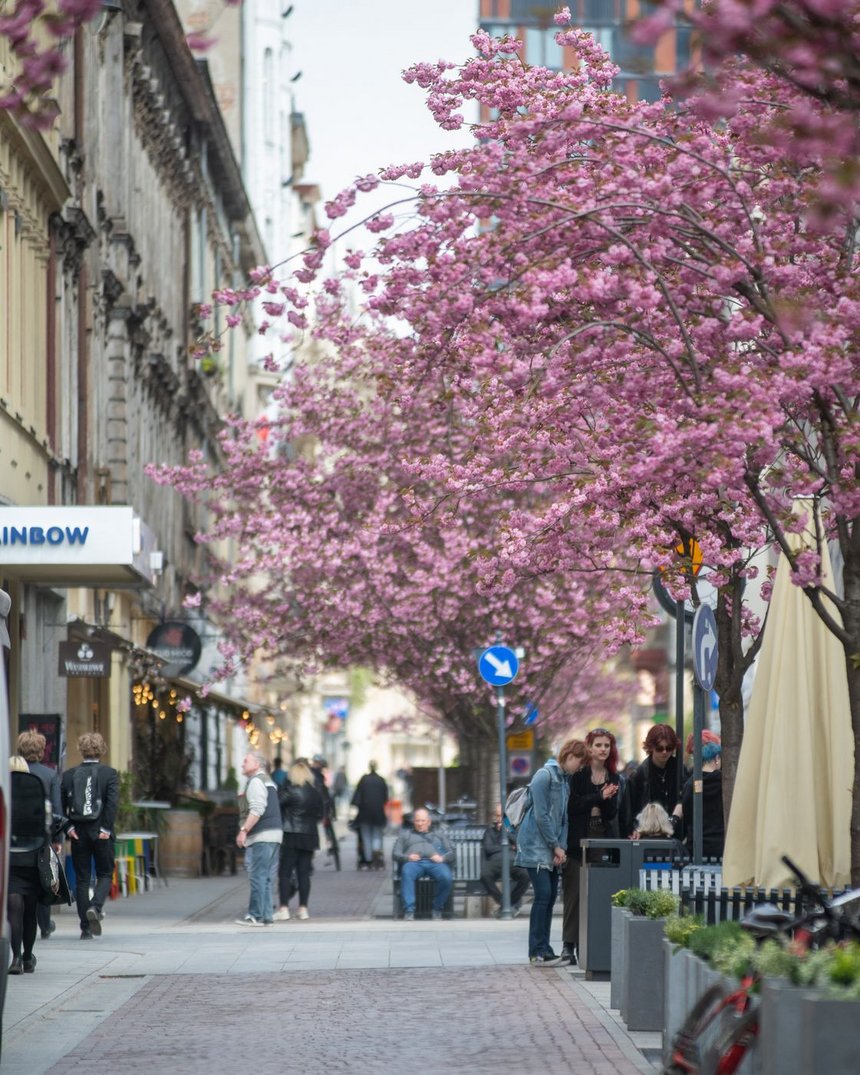fot. ŁÓDŹ.PL