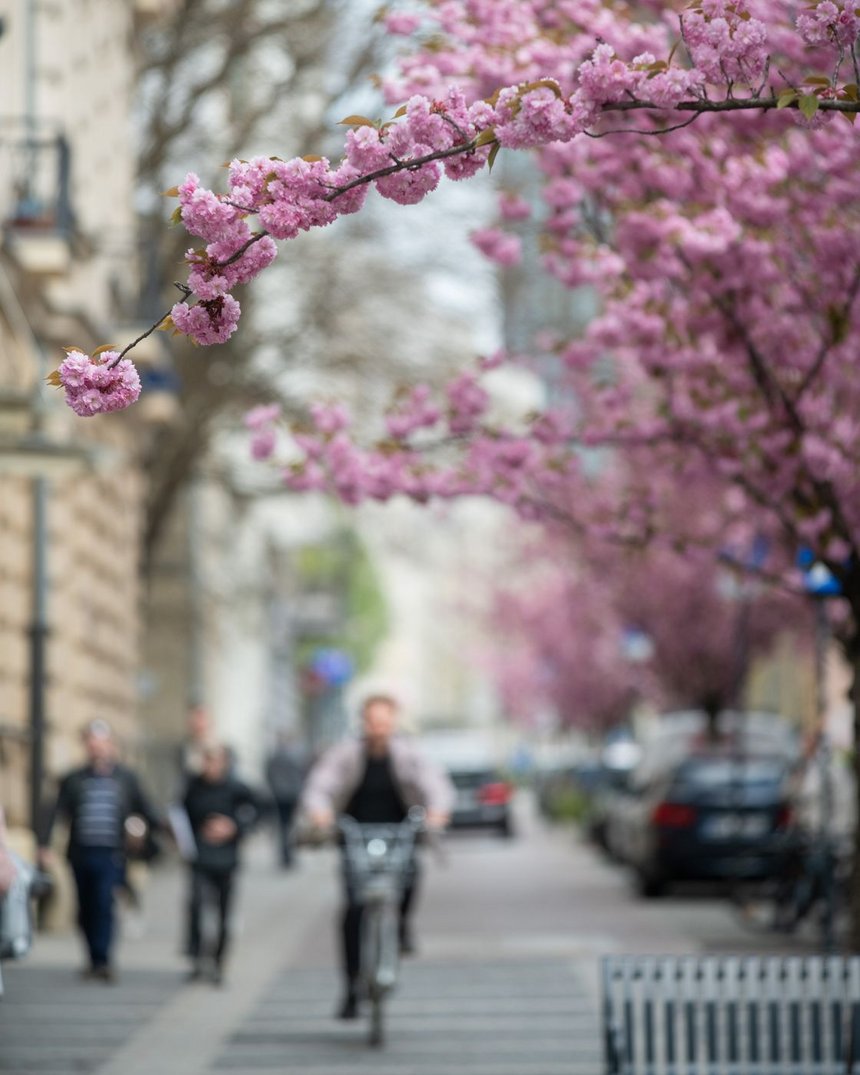 fot. ŁÓDŹ.PL