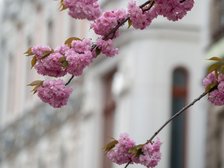 fot. ŁÓDŹ.PL