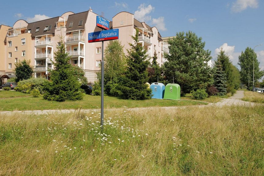 fot. Jastrzębski